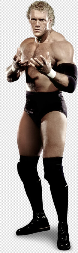 Sycho Sid Wwe  HD Png DownloadTransparent PNG