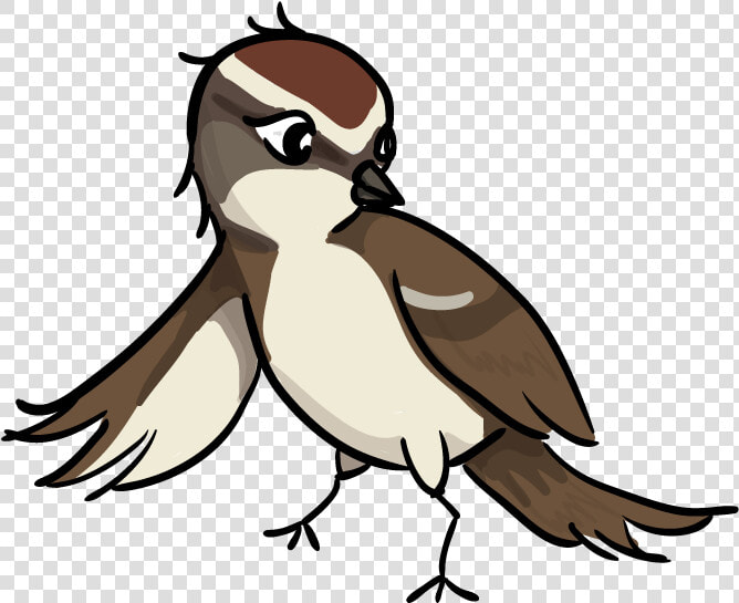 Firefly Clip Art   Sparrow Png Clipart  Transparent PngTransparent PNG