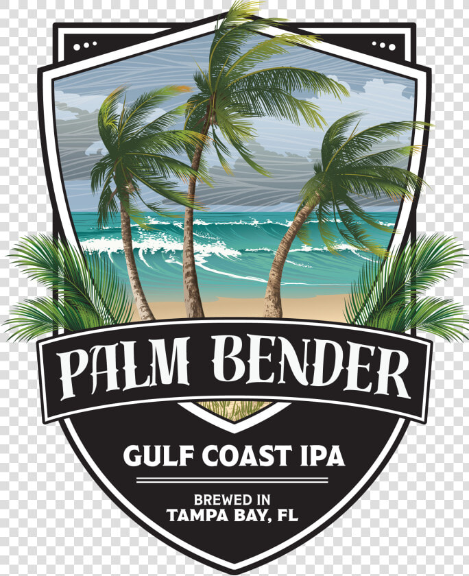 Big Storm Palm Bender  HD Png DownloadTransparent PNG