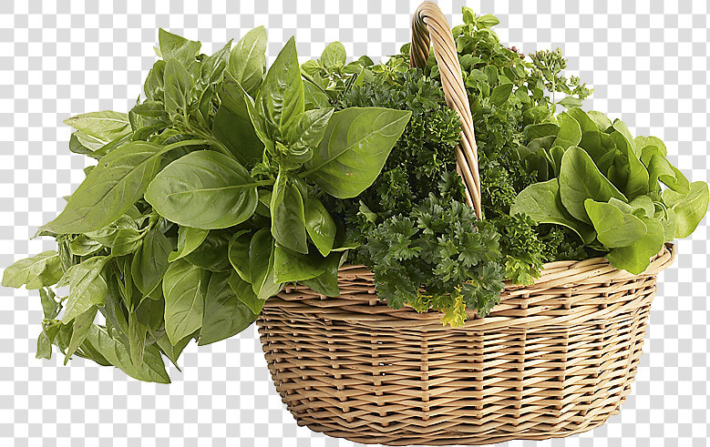 Herb   Herb Basket Png  Transparent PngTransparent PNG