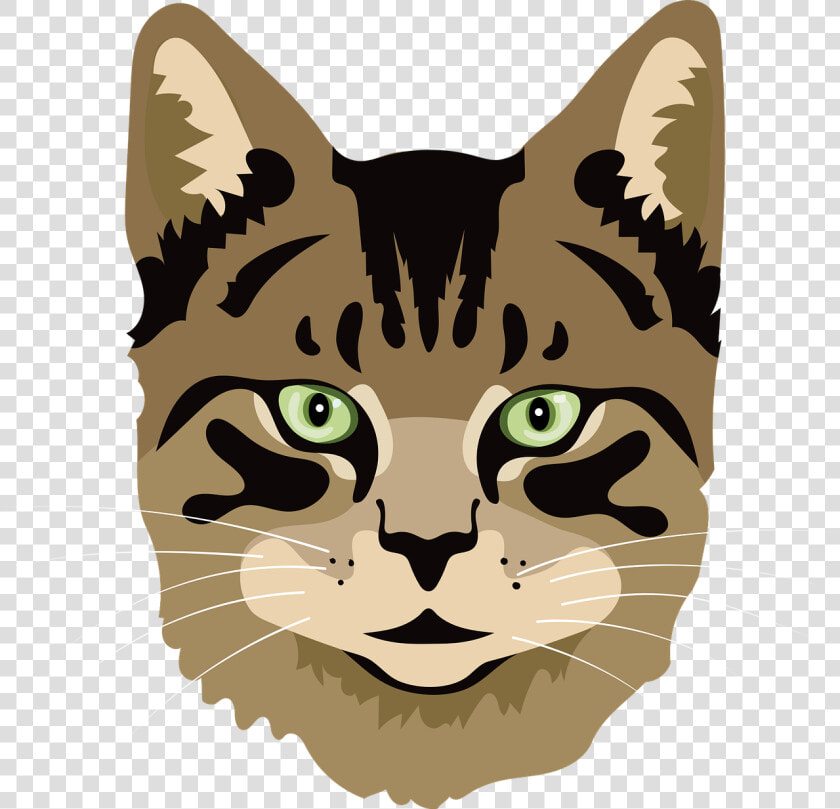 Cat  Meow  Kitten  HD Png DownloadTransparent PNG