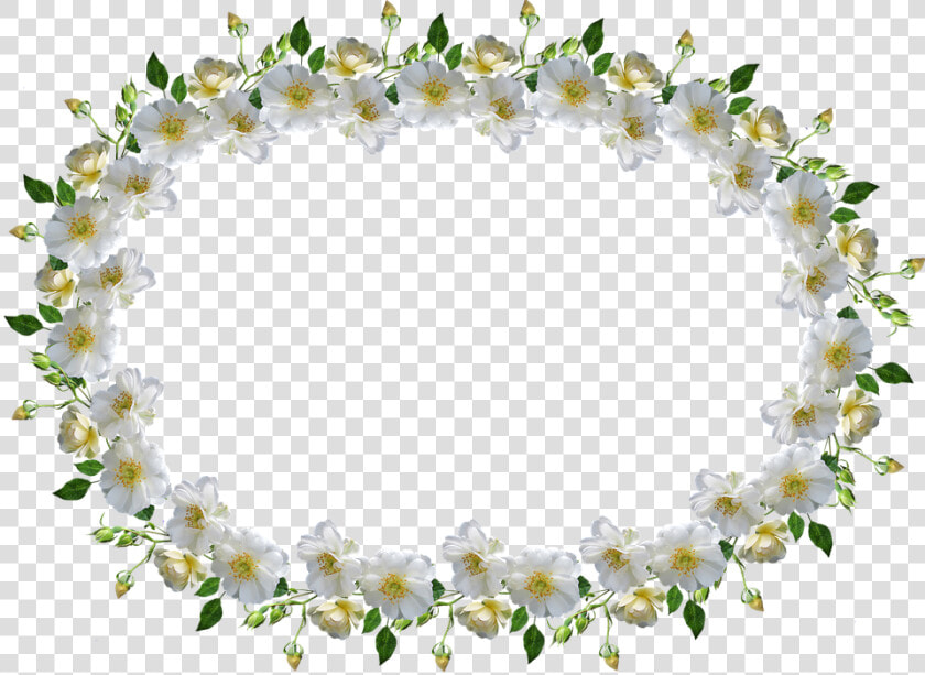 Frame  Border  White Rose  Floral   Bingkai Bunga Mawar Putih  HD Png DownloadTransparent PNG