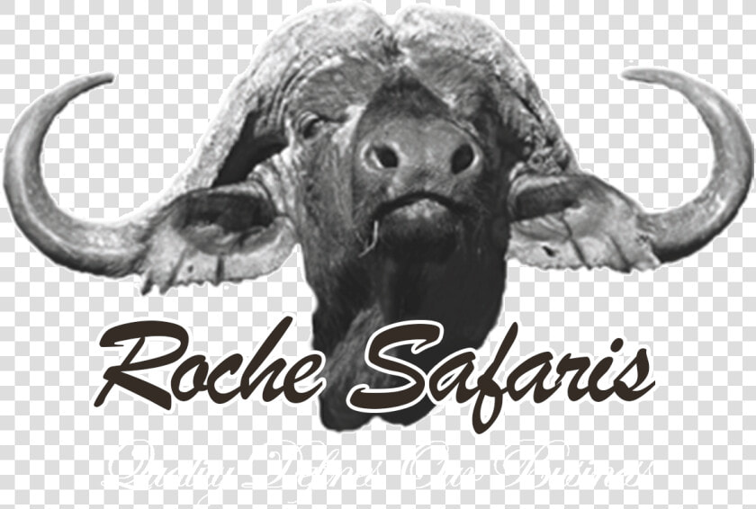 Logo Roche Safaris   Upper Room Christian School Logo  HD Png DownloadTransparent PNG