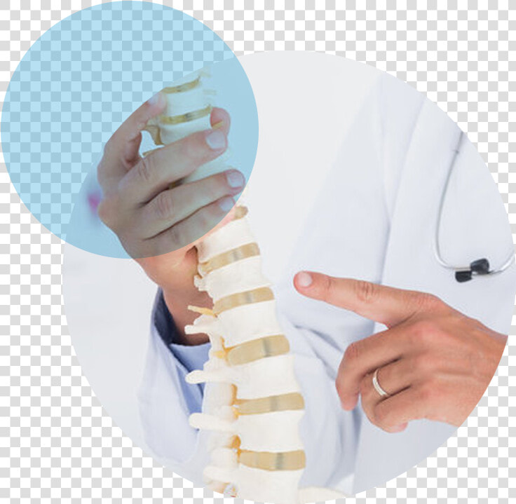 Spine  HD Png DownloadTransparent PNG