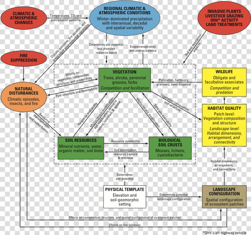 Control Model Illustrating Key Components   Ecosystem   Conceptual Model Ecology  HD Png DownloadTransparent PNG