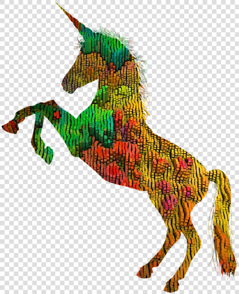 Unicorn Horse Rider Free Photo   Horse Black And White Outline  HD Png DownloadTransparent PNG