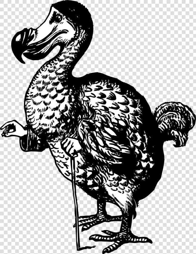 The Dodo From Alice In Wonderland   Alice In Wonderland Original Dodo  HD Png DownloadTransparent PNG