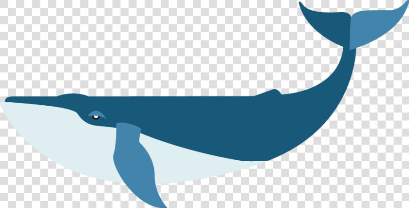 Flat Blue Whale   Blue Whale Png Art  Transparent PngTransparent PNG