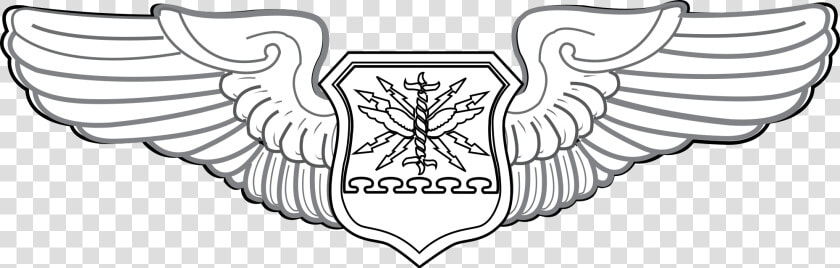 Wing Svg Air Force   Air Force Cso Badge  HD Png DownloadTransparent PNG