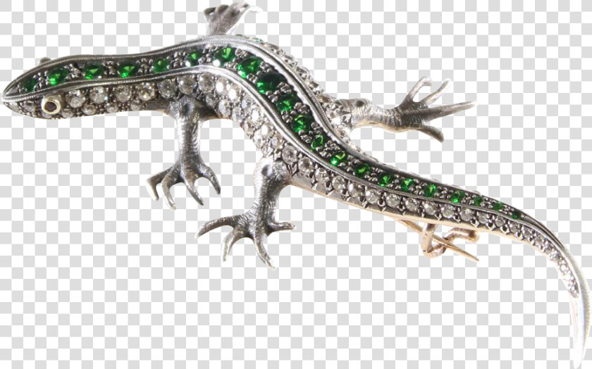 Salamander Png Transparent Image  Png DownloadTransparent PNG