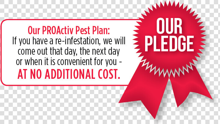 Year Round Pest Control Snow Hill  Md   Graphic Design  HD Png DownloadTransparent PNG