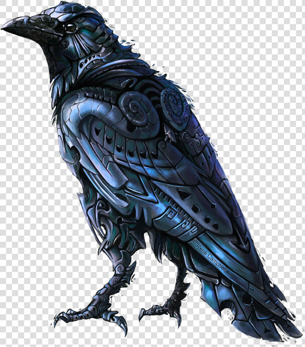  mq  black  crow  bird  birds   Crow Drawing  HD Png DownloadTransparent PNG