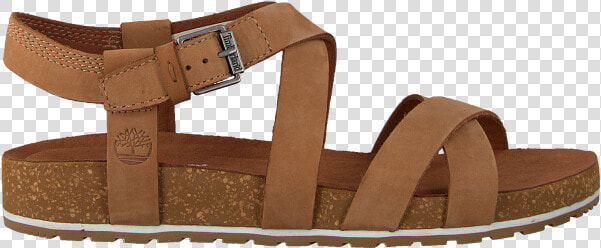 Sandalen Leer Dames Timberland  HD Png DownloadTransparent PNG