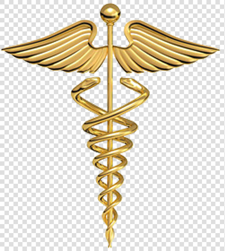 Physician Gold Plate Of Symbol Medicine Hermes Clipart   Medical Symbol  HD Png DownloadTransparent PNG