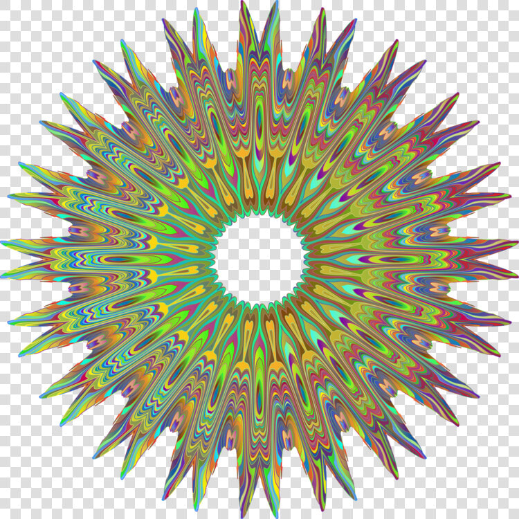 Line circle symmetry   Orthopaedics And Spine Specialist Hospital  HD Png DownloadTransparent PNG