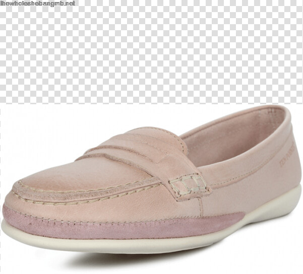 Transparent Tilde Png   Slip on Shoe  Png DownloadTransparent PNG