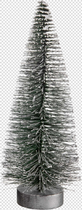 Fir Tree Png Image File   Christmas Tree  Transparent PngTransparent PNG