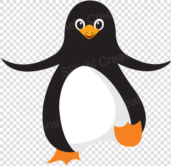 Penguin Clipart Waddle Graphics Illustrations Free   Ocean Animals Penguin Cartoon  HD Png DownloadTransparent PNG