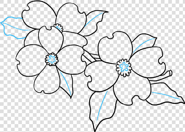 Dogwood Flower Drawing Easy  HD Png DownloadTransparent PNG