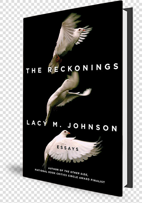 Reckonings By Lacy M Johnson  HD Png DownloadTransparent PNG