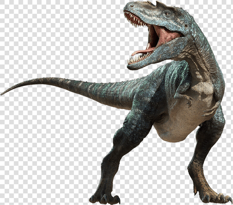 Dinosaur Png   Transparent Background Dinosaur Png  Png DownloadTransparent PNG