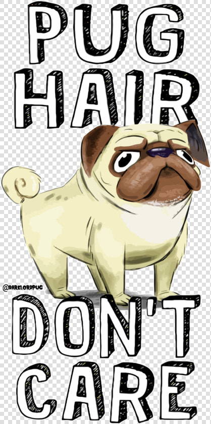 Dark Lord Pug   Pug  HD Png DownloadTransparent PNG