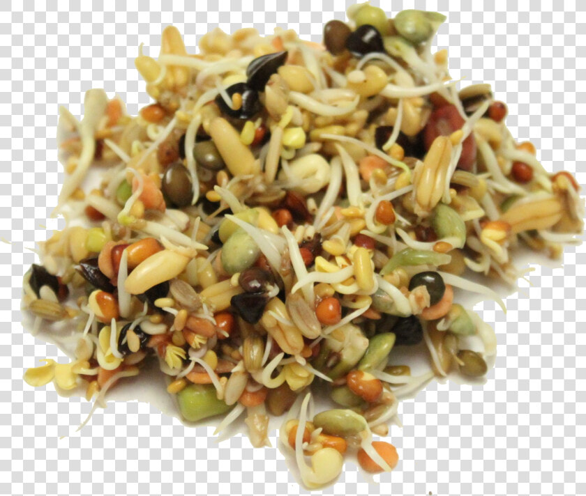 Mung Bean  HD Png DownloadTransparent PNG