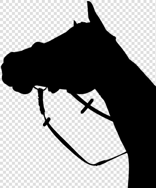 Horse  Silhouette  Black   Horse Head Silhouette Png  Transparent PngTransparent PNG