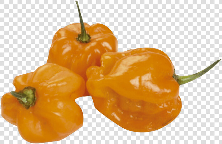 Habanero Chili  HD Png DownloadTransparent PNG