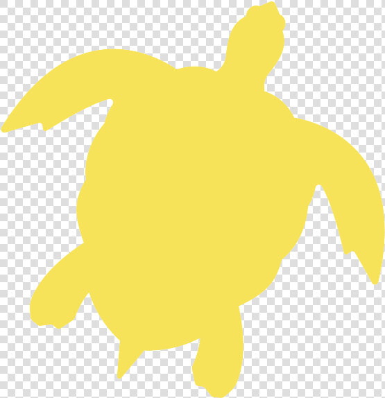 Kemp  39 s Ridley Sea Turtle  HD Png DownloadTransparent PNG