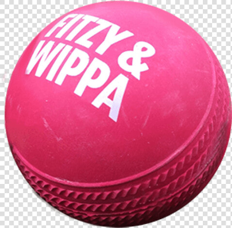 Rubber Cricket Ball   Cricket  HD Png DownloadTransparent PNG