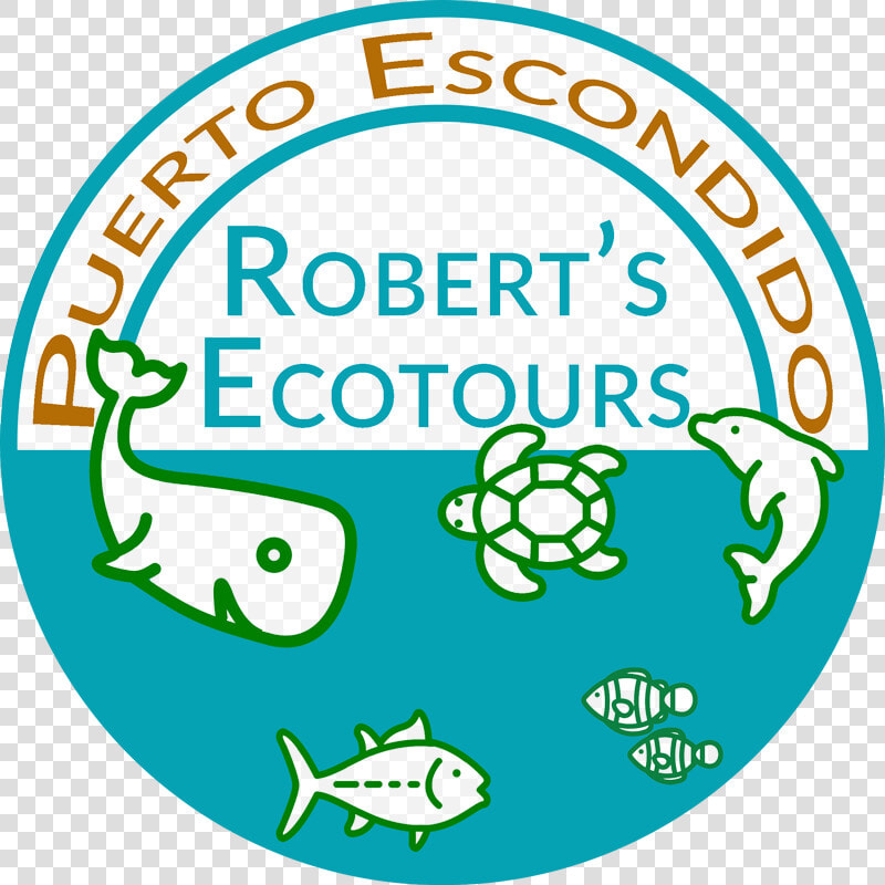 Ecotours Puerto Escondido   Circle  HD Png DownloadTransparent PNG