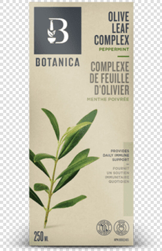 Botanica  HD Png DownloadTransparent PNG