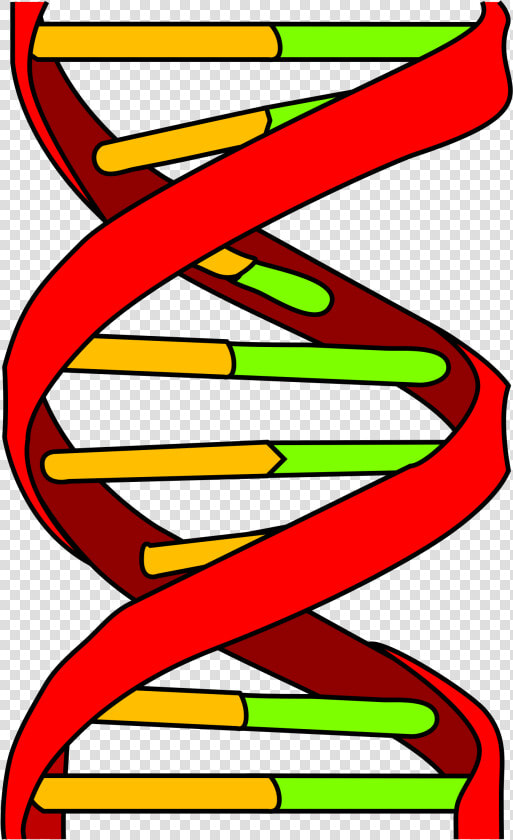 Dna Icon Clipart   Png Download   Dna Memes  Transparent PngTransparent PNG