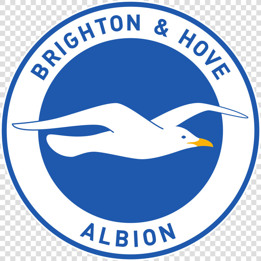 Brighton  amp  Hove Albion Logo  HD Png DownloadTransparent PNG