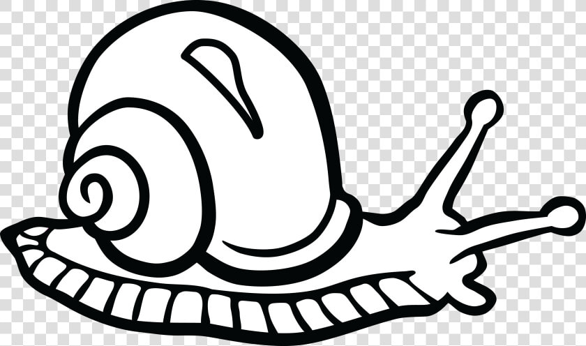 Snail Drawing Png  Picture   Snail Clipart Black And White  Transparent PngTransparent PNG