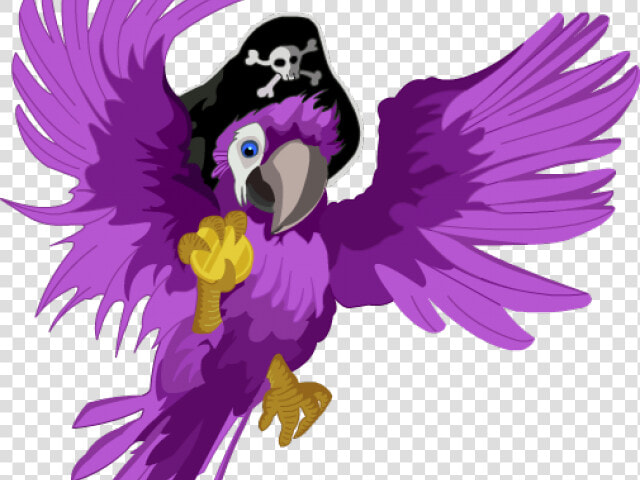 Macaw Clipart Pirate Parrot   Clip Art  HD Png DownloadTransparent PNG