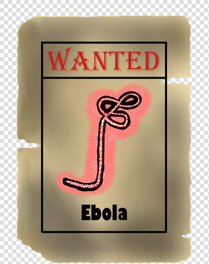 Wanted Poster Ebola With Background   Osama Bin Laden  HD Png DownloadTransparent PNG