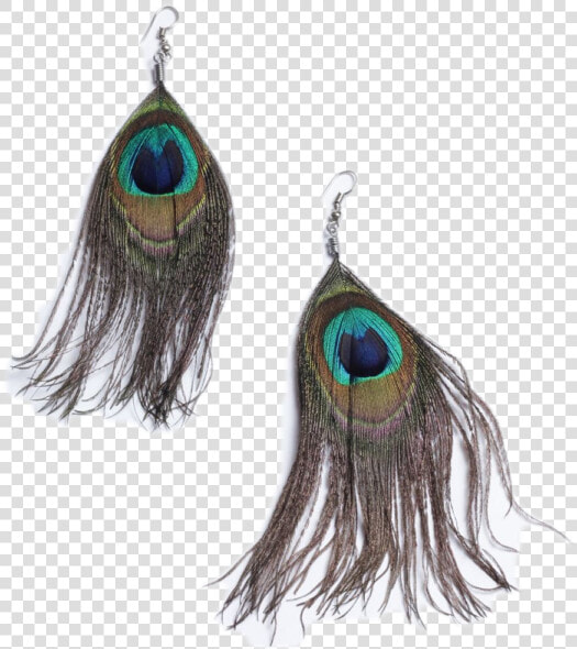 African Peacock Feather Hook Earrings   Feather Earring Transparent Background  HD Png DownloadTransparent PNG