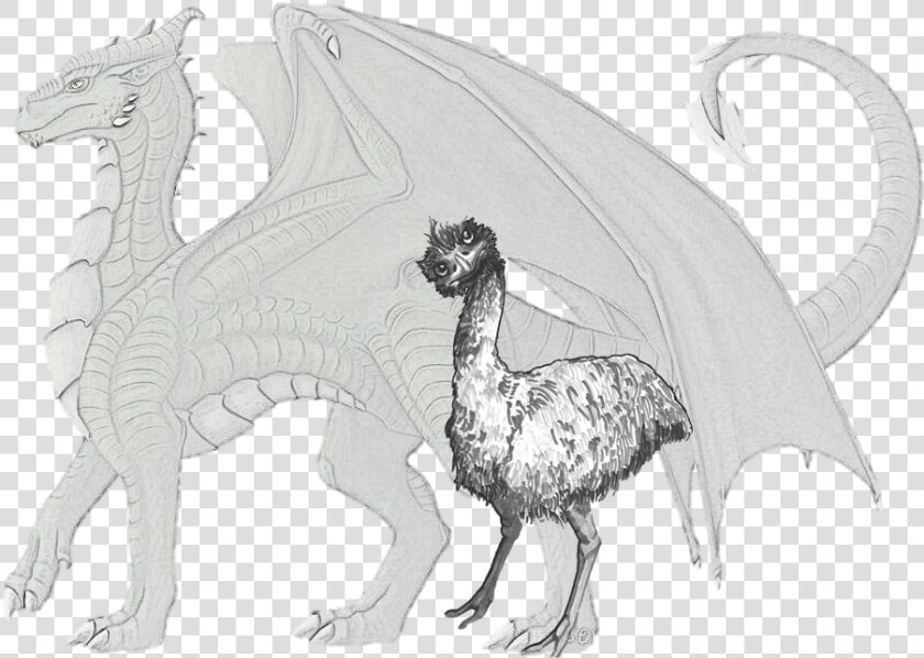 Wildlife Fauna Line Art Extinction Sketch   Emu Dragon  HD Png DownloadTransparent PNG