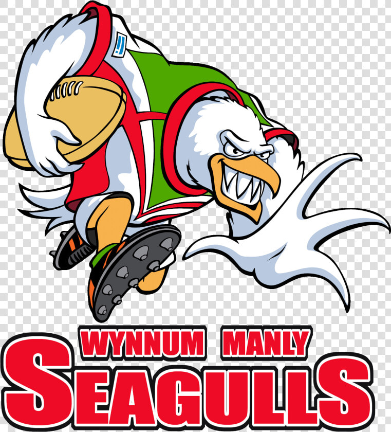 Logopedia   Wynnum Manly Seagulls Logo  HD Png DownloadTransparent PNG