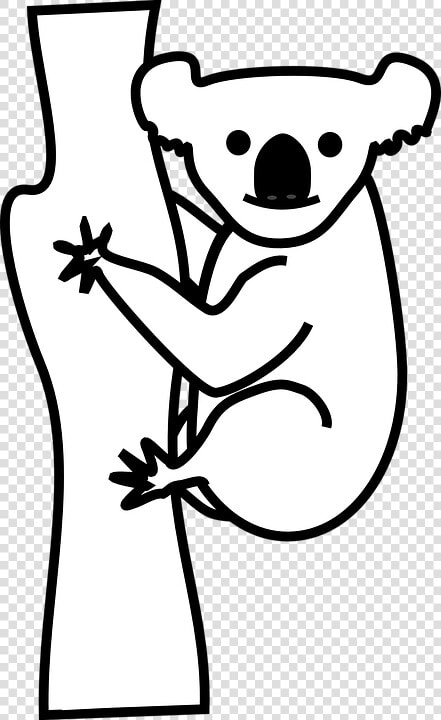 Koala  Bear  Animal  Climb  Outlines  Friendly  Tree   Koala Black And White Clipart  HD Png DownloadTransparent PNG