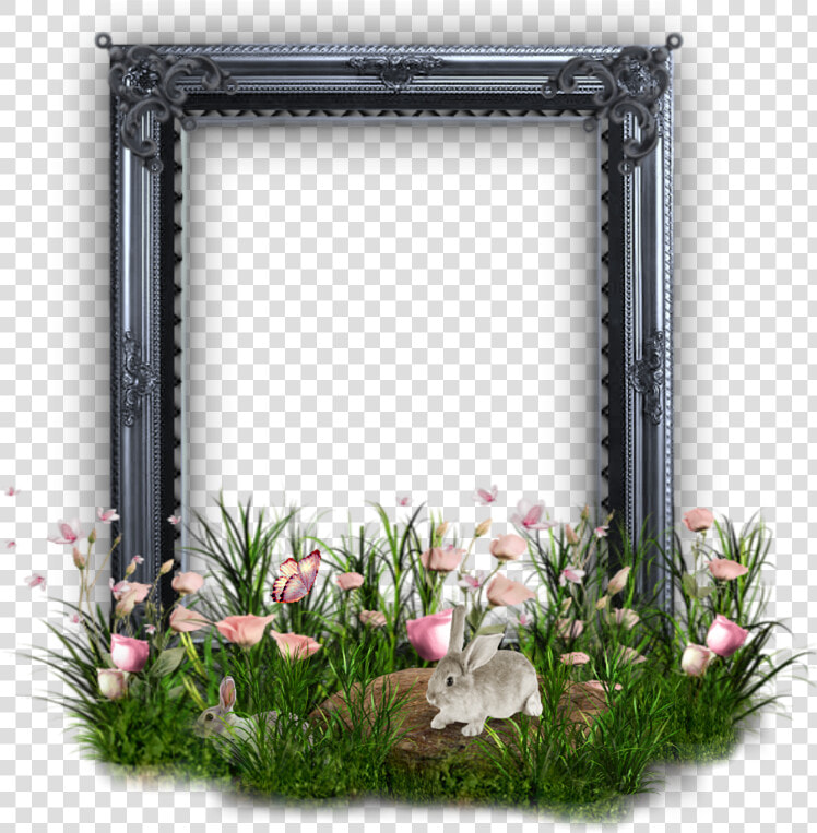 Png Frame Rabbit Picture Free Picture   Bouquet  Transparent PngTransparent PNG