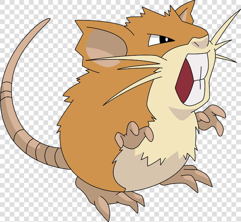 Raticate Png  Transparent PngTransparent PNG