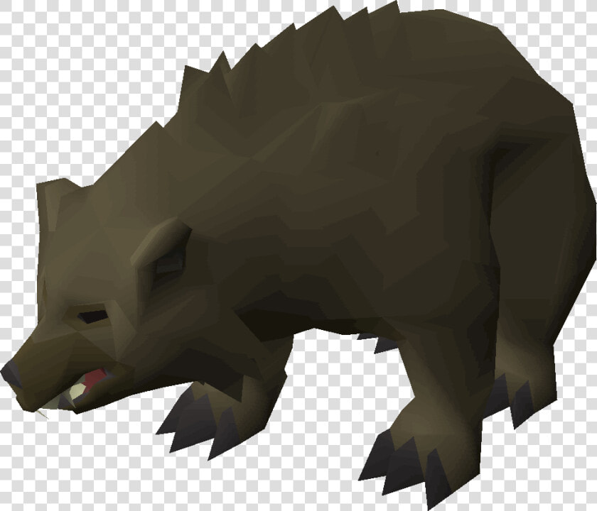 Old School Runescape Wiki   Bear Spawns Osrs  HD Png DownloadTransparent PNG