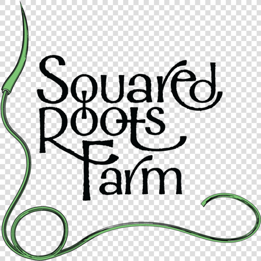 Squared Roots Farm Logos Alternate No Stroke   Calligraphy  HD Png DownloadTransparent PNG