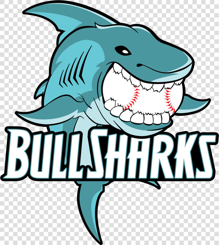 Bull Sharks Clipart   Png Download   Cartoon Bull Shark Transparent  Png DownloadTransparent PNG