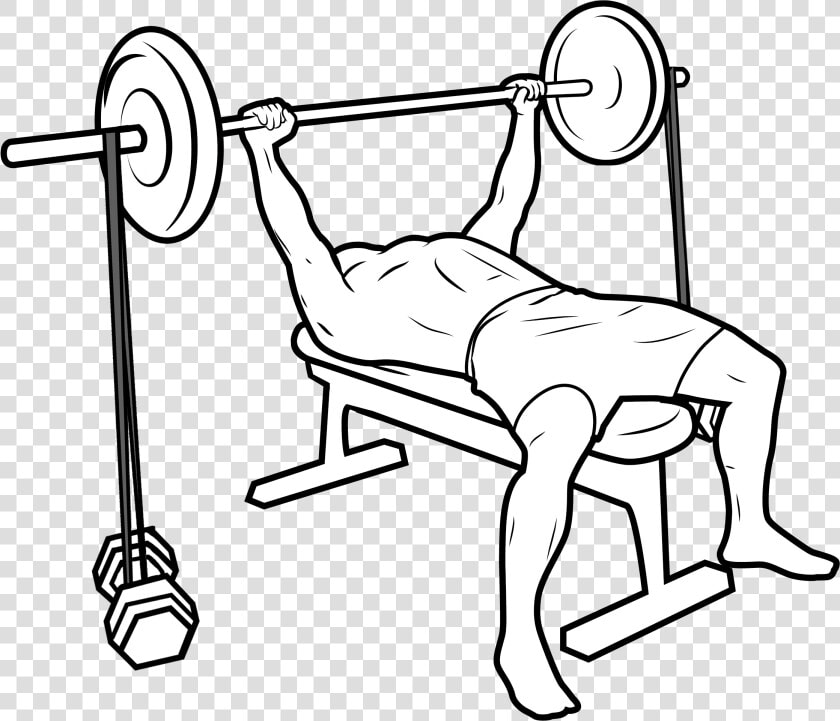 Bench Press   Bench Press Bands Png  Transparent PngTransparent PNG