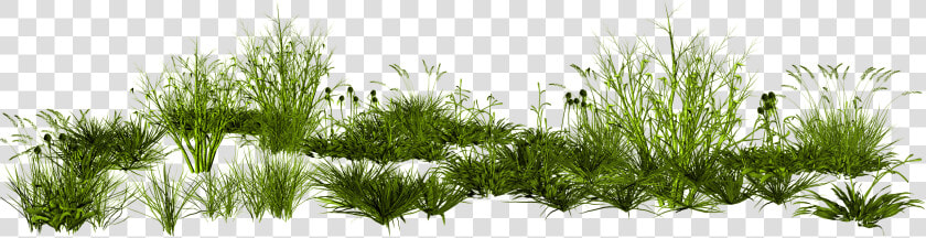 Gimp Rendering Photoscape Creative Green Grass Png   Png Transparent Background Grass Png  Png DownloadTransparent PNG