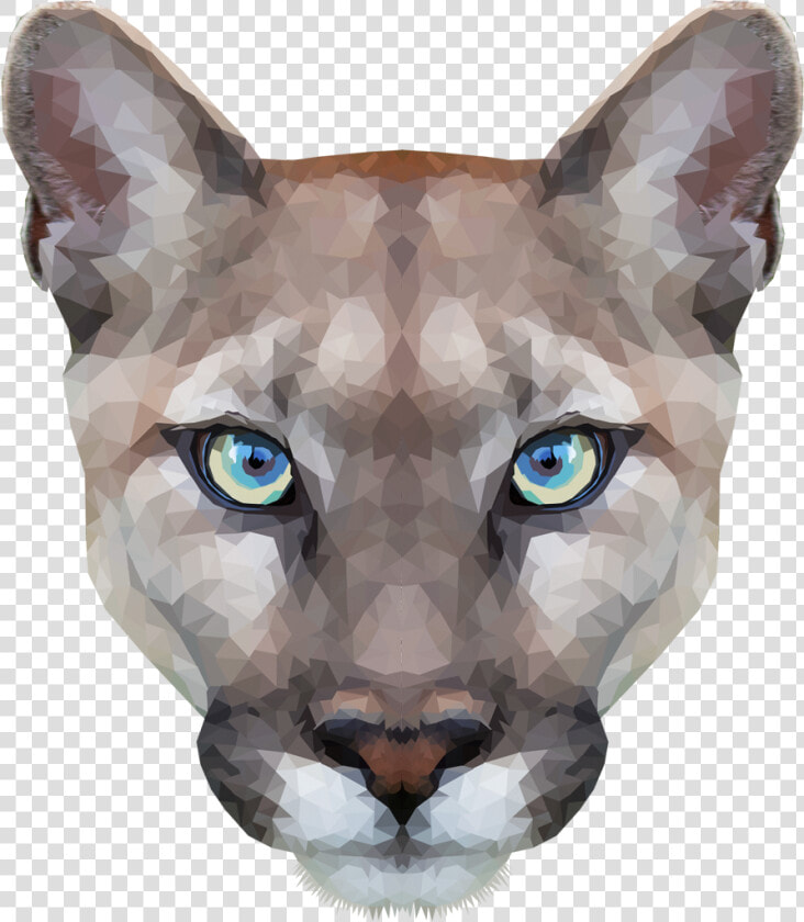 Tumblr Nnshg2tlaf1u806wgo1 R1   Cougar Head Transparent Background  HD Png DownloadTransparent PNG